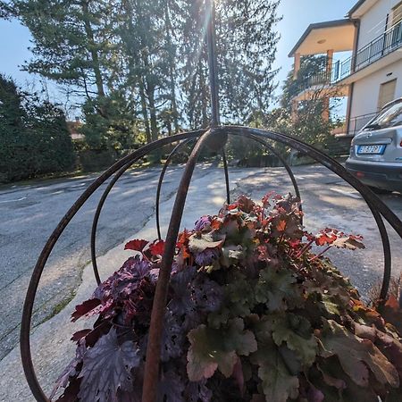 Paradeisos Residence Sas Somma Lombardo Zewnętrze zdjęcie