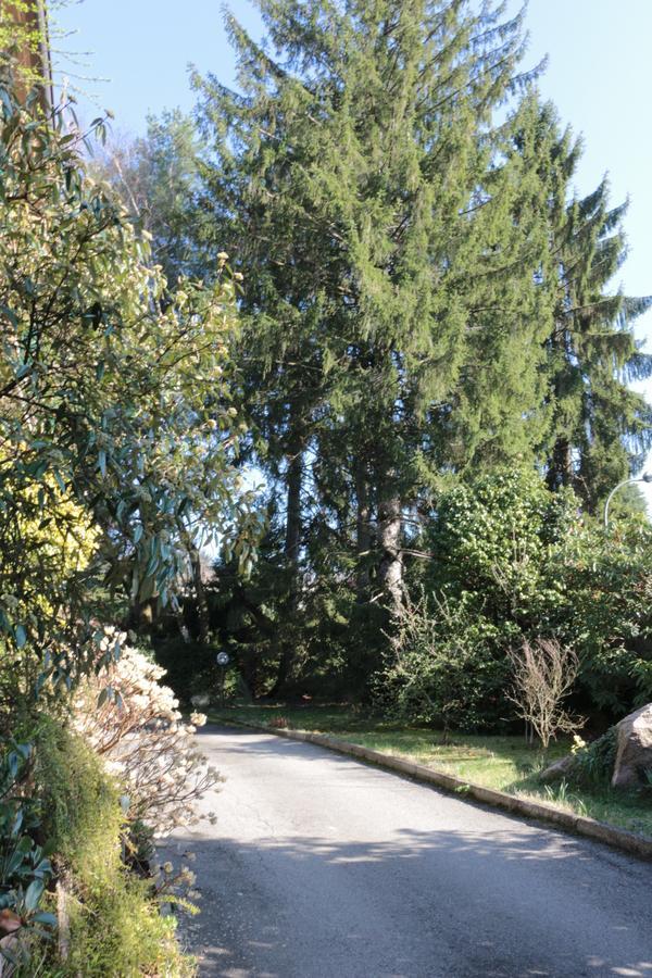 Paradeisos Residence Sas Somma Lombardo Zewnętrze zdjęcie
